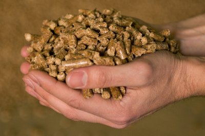 Производители кормов в России снизили зависимость от импортных аминокислот до 50%