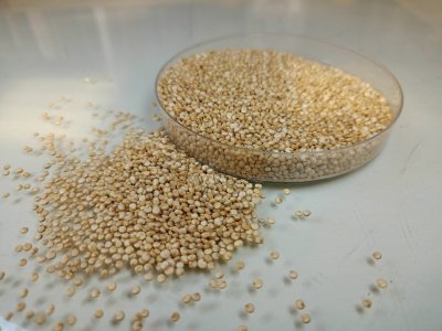 Поставки киноа в Россию выросли в восемь раз в 2025 году