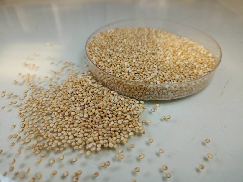 кино россыпь (1)