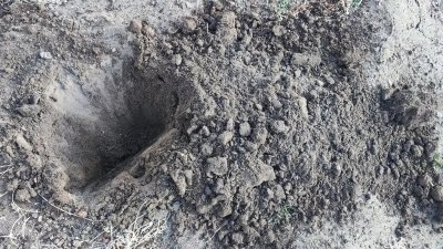 Почву в некоторых районах Бурятии эксперты сравнили с «абсолютно сухим веществом»