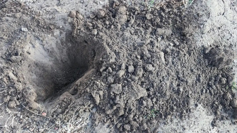 photo_2025-04-29_09-23-58