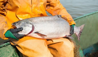 АФК «Система» передала контроль над рыбопромышленным холдингом «Восход»