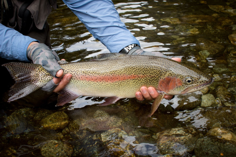 muzcina-lovit-rybu-v-ozere (1)