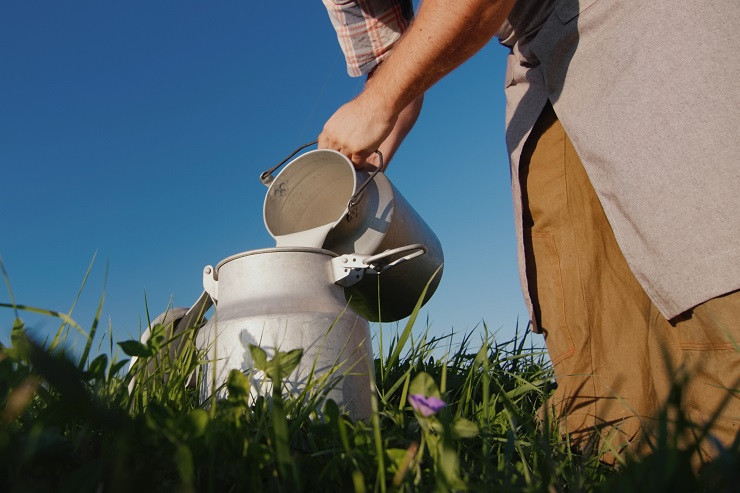 AdobeStock_372067890