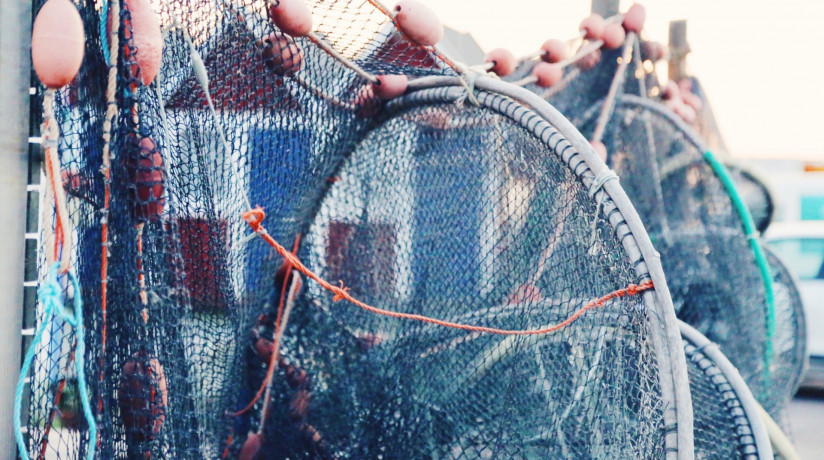 blizkii-plan-rybolovnoi-seti-na-fone-neba