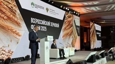 Россия увеличит экспорт зерна до 80 млн тонн к 2030 году