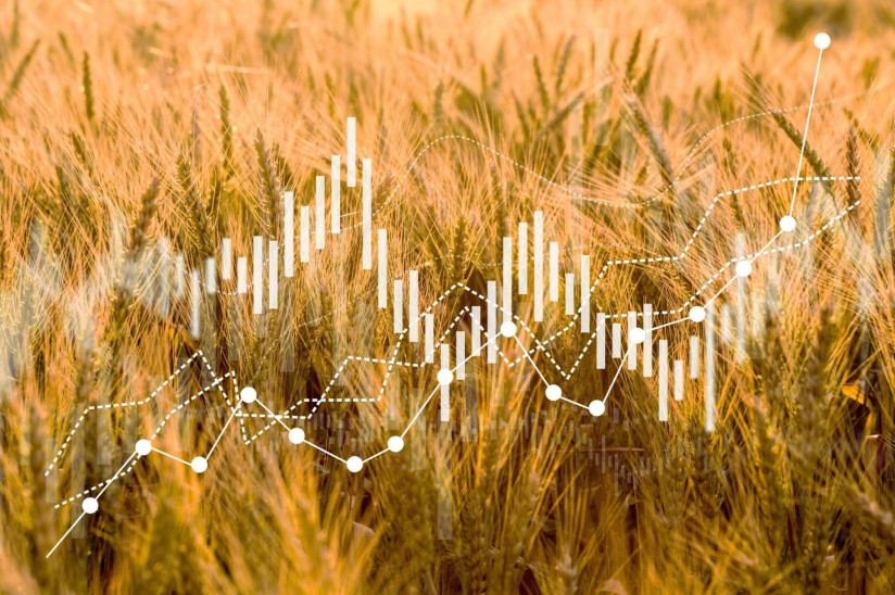 01rising-wheat-prices-europe-due-conflict-russia-ukraine (1)