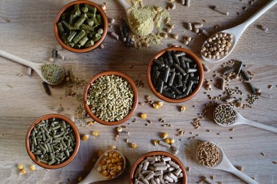 Производство кормов в ЕС немного снизится — прогноз