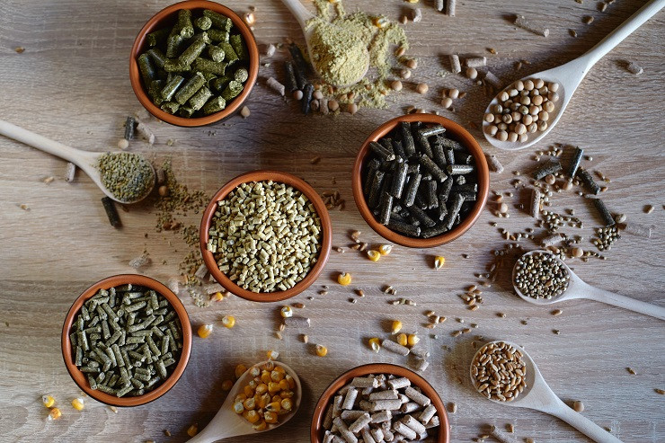 AdobeStock_358782066