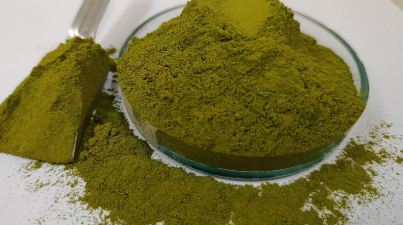 Моринга совок 1 (1)