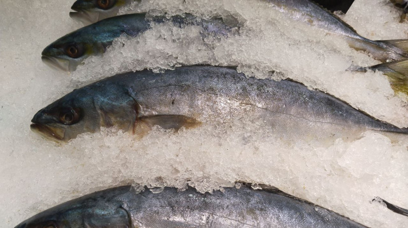 Рыба на прилавке sfera.fm