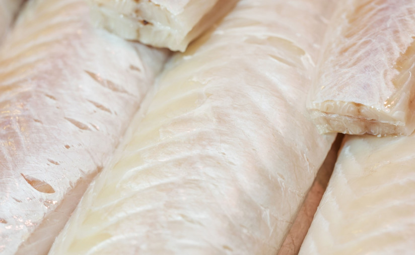 krupnyi-plan-svezei-ryby (1)