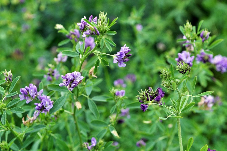 AdobeStock_278624616