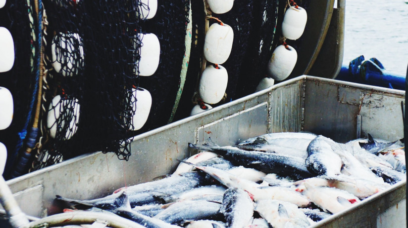 ryba-v-konteinerah-na-rynke-dla-prodazi