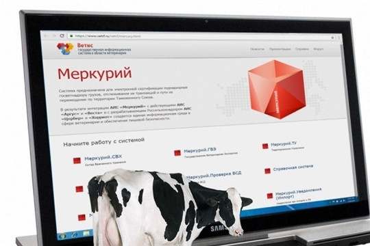 Фото_galatr.cap.ru