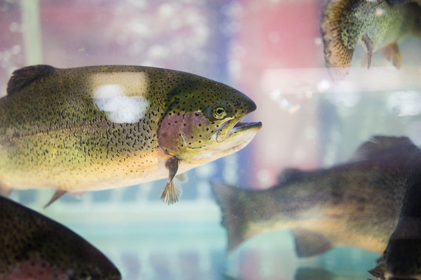 jutDQMZ73yb0p9-iqbKJg_9d5lsAqQP8-ebUcGQsEP9JdctuW8hGb7lSnajp4PBEAh3k64D0SoUpqELlZ8pJVsFI