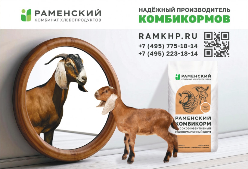 magazine layout_GOAT_180x123mm_ready_page-0001