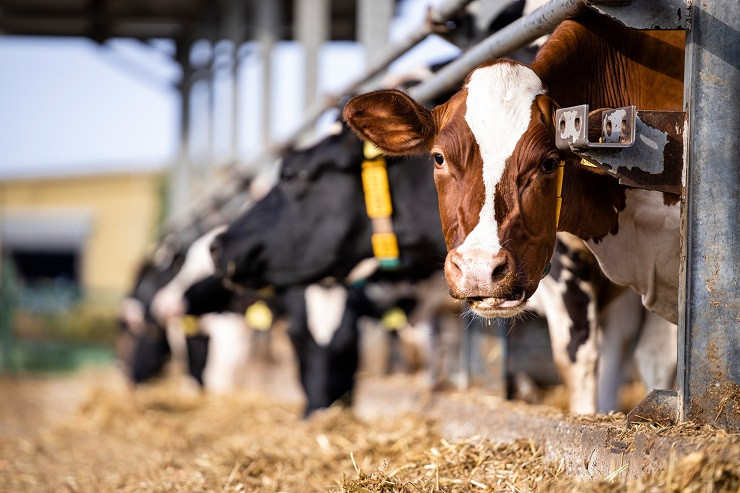 AdobeStock_545281904