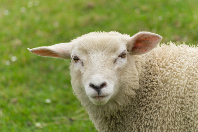 AdobeStock_567317760