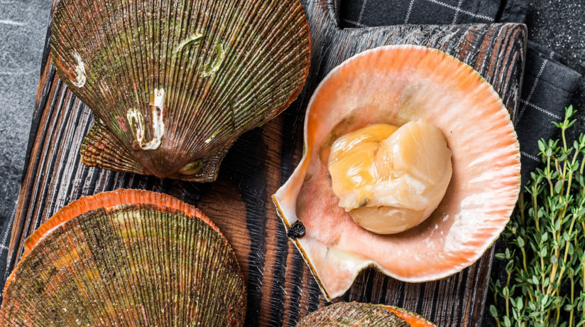 syrye-syrye-grebeski-korolevy-na-derevannoi-doske-cernyi-fon-vid-sverhu