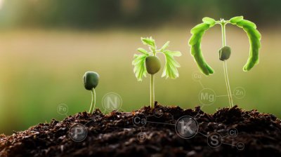 Генеральным директором «ФосАгро» стал Александр Гильгенберг