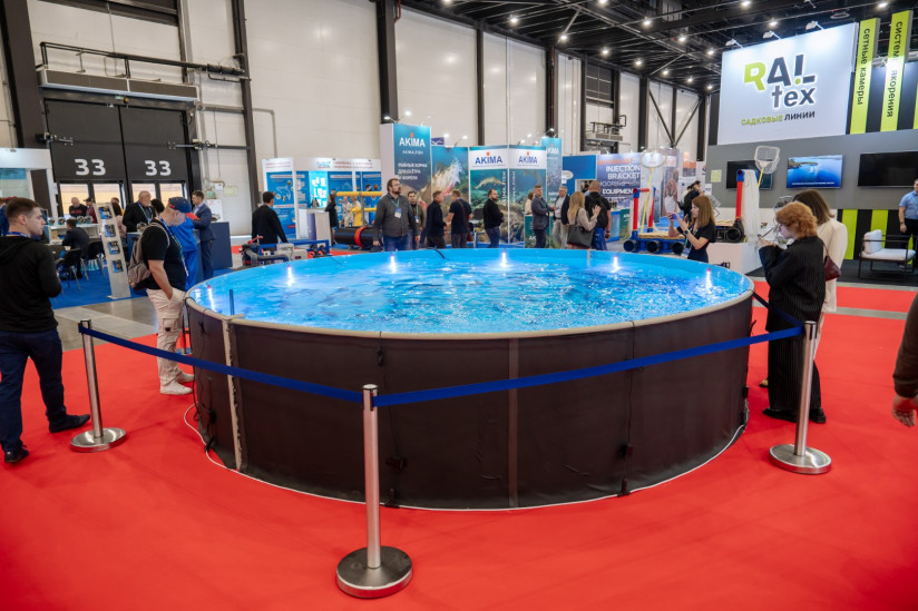 240917_TECH REKL_Nikita (235) (3)