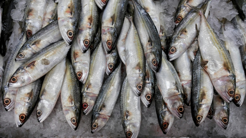 vysokougol-nyi-vid-ryby-dla-prodazi-na-rynocnoi-stoike