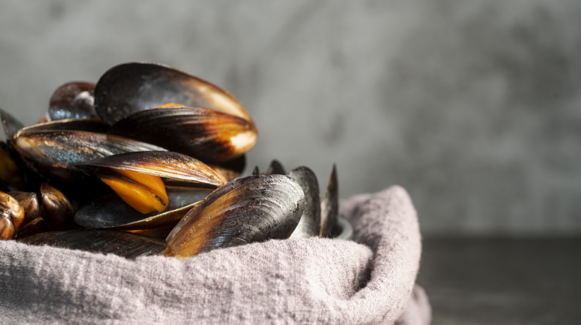 vid-speredi-vkusnye-moreprodukty-midii