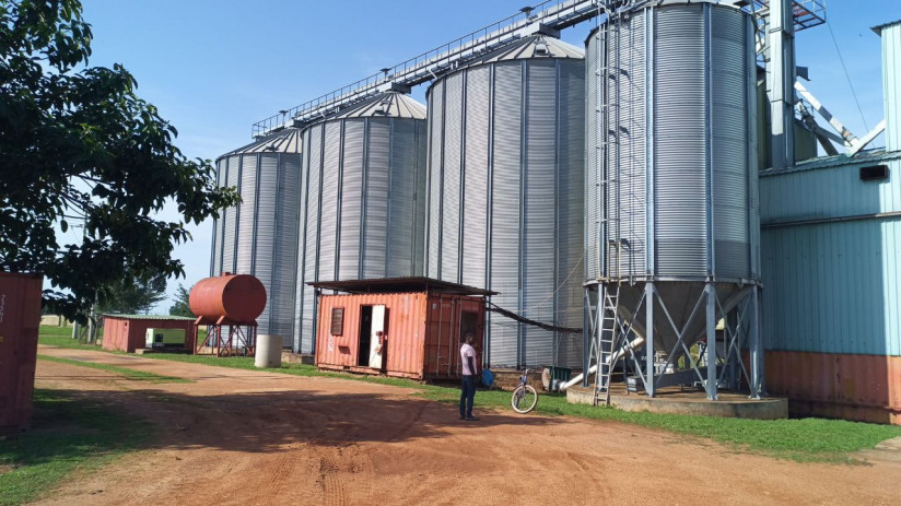 Фото с фермы_Уганда3