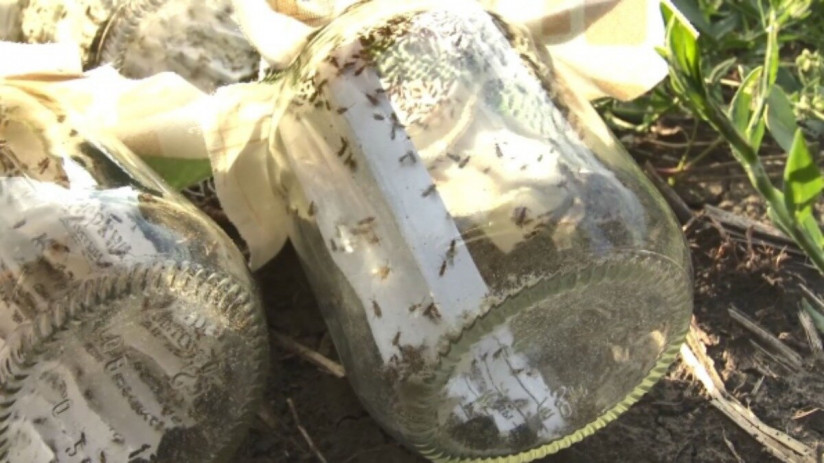 photo_2023-08-02_09-47-53