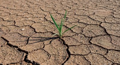 В Минсельхозе предложили разработать региональные программы для борьбы с опустыниванием сельхозземель