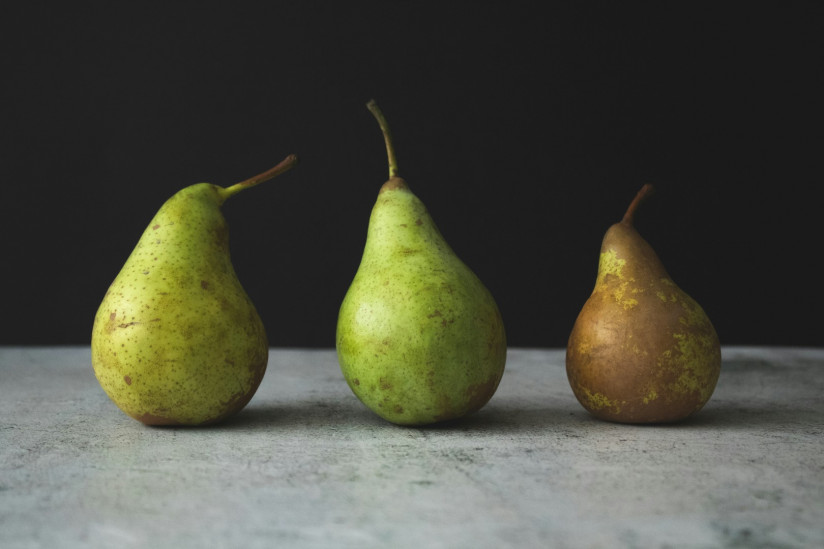 tijana-drndarski-3zmVSZQIozA-unsplash