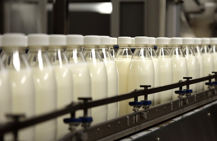 moloko-na-pisevoi-fabrike-generative-ai