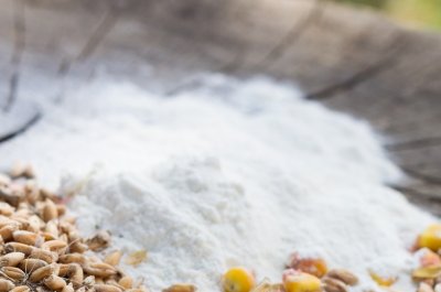 ФАС одобрила правила торговли кормовым метионином в России