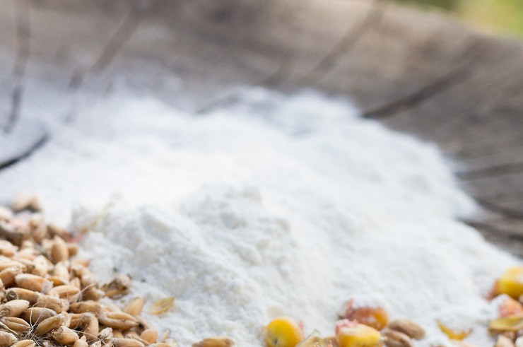 zernovoi-pisevoi-smesi-na-derevannom-fone