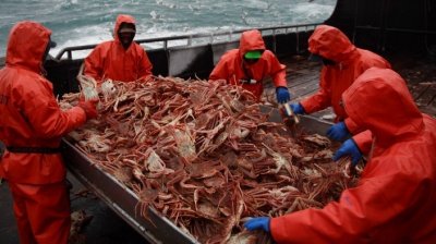 Аукцион квот на добычу краба не состоялся