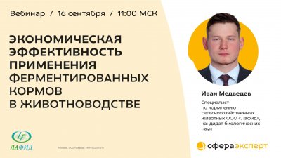Ферментированные корма: инвестиция в рентабельность предприятия