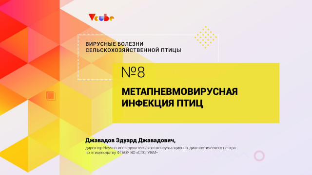 Эдуард Джавадов. Метапневмовирусная инфекция птиц