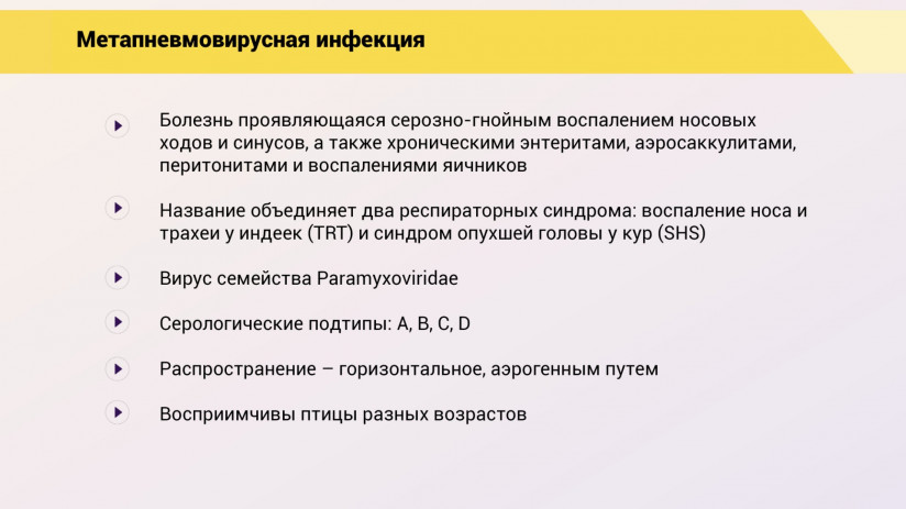 Эдуард Джавадов. Метапневмовирусная инфекция птиц