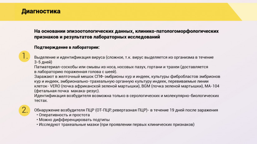 Эдуард Джавадов. Метапневмовирусная инфекция птиц