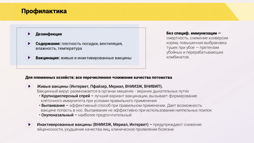 Эдуард Джавадов. Метапневмовирусная инфекция птиц