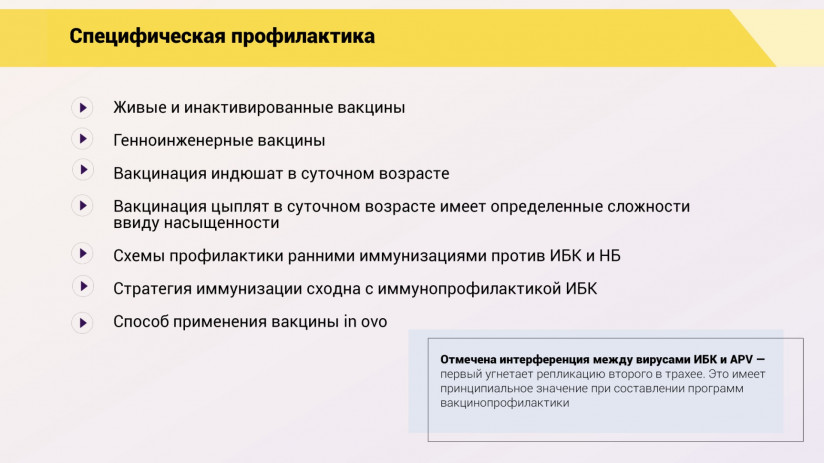 Эдуард Джавадов. Метапневмовирусная инфекция птиц