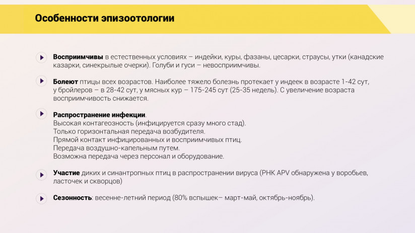 Эдуард Джавадов. Метапневмовирусная инфекция птиц