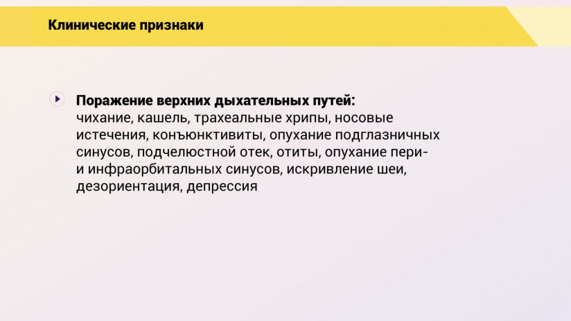 Эдуард Джавадов. Метапневмовирусная инфекция птиц