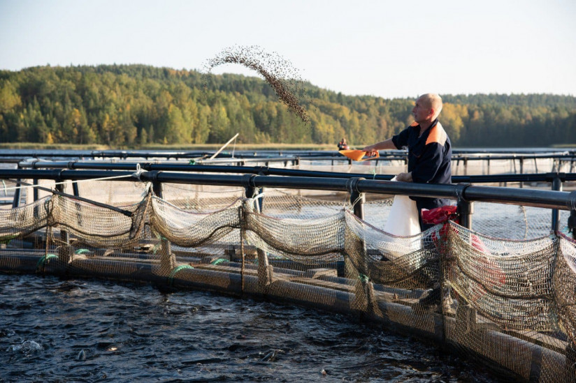 Гибкие рецептуры и научный подход: стратегия «МЕЛКОМ» для развития аквакультуры в России»