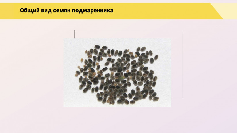 Леонид Подобед. Оценка правильности формирования кормового рациона для птицы