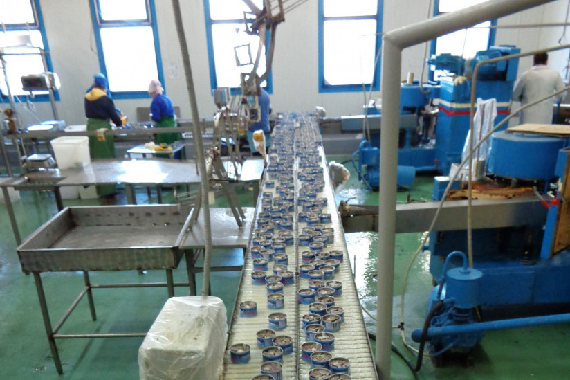 Дмитрий Никлонский, «СудоРыбТехМаш» — о тенденциях рынка рыбообрабатывающего оборудования и развитии отечественных решений