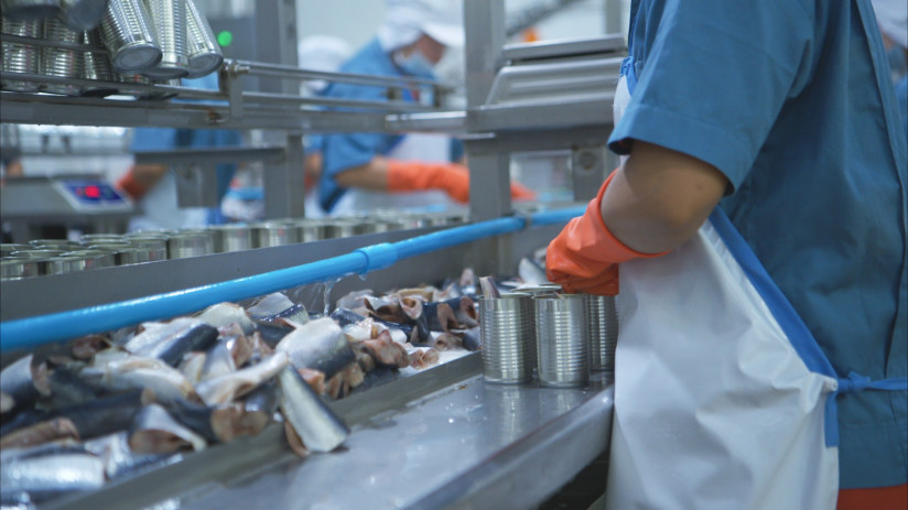 Павел Кечин, МАСРП — о разработке новинок и решении кадрового вопроса рыбопромышленной отрасли