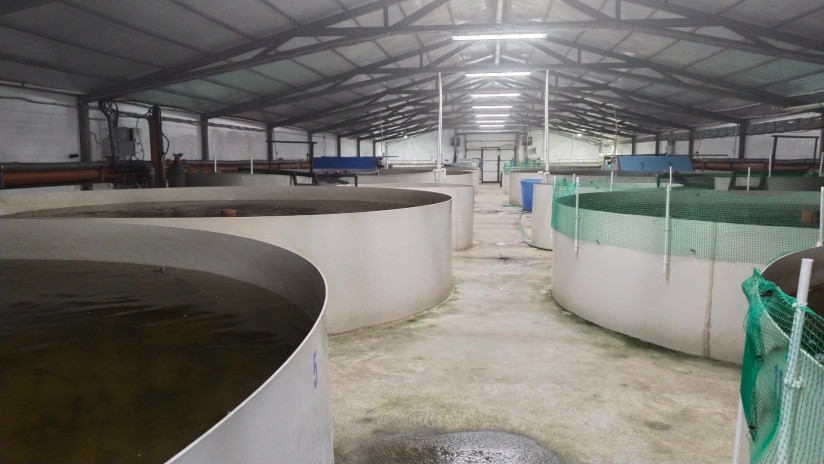 Олег Кобяков, ФАО — о потенциале роста и барьерах для развития аквакультуры в РФ