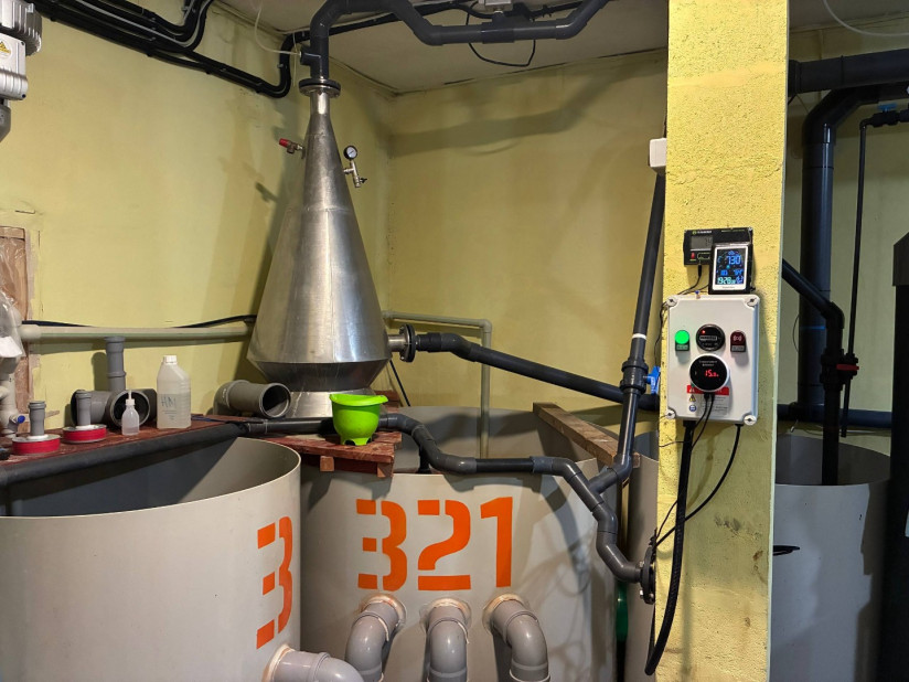 Не только оборудование: эксперты компании RAS Consulting — о комплексном подходе к прибыльной аквакультуре